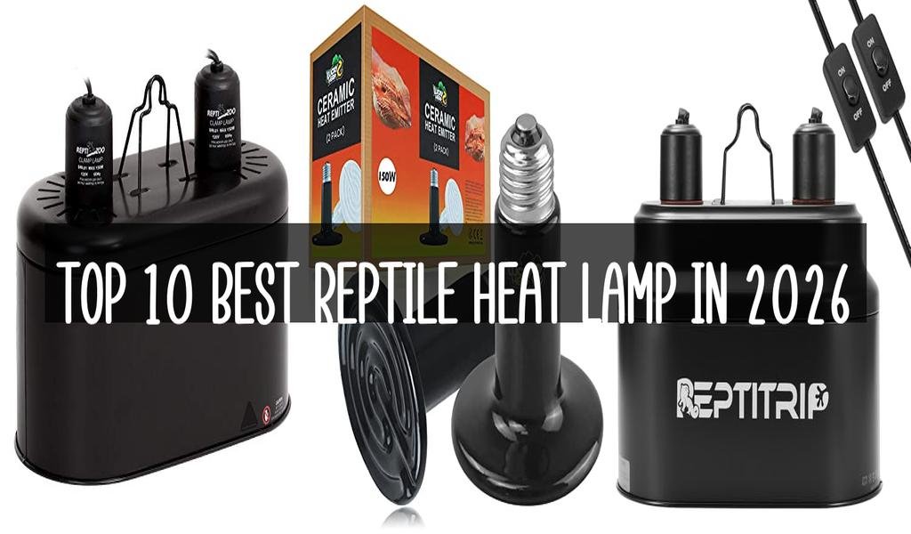 Top 10 Best Reptile Heat Lamp in 2026